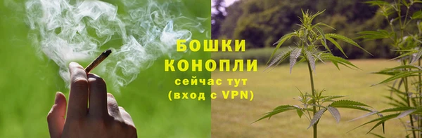 Альфа ПВП Горно-Алтайск