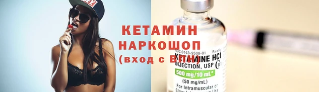прущие крисы Струнино