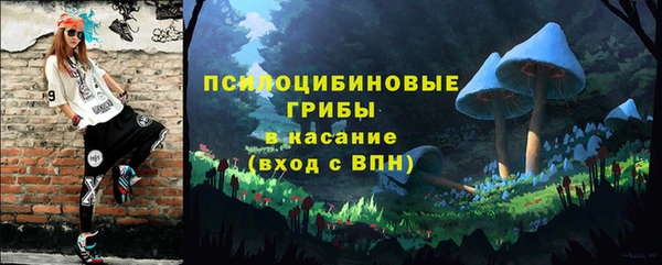 твердый Горнозаводск