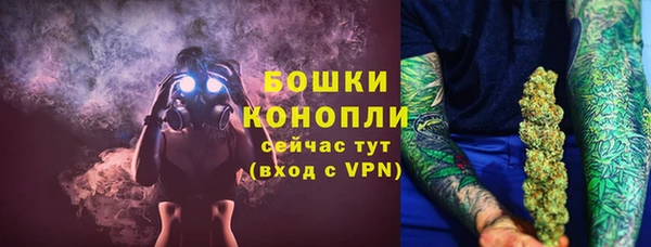 твердый Горнозаводск
