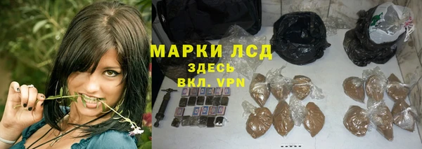 PSILOCYBIN Гусев