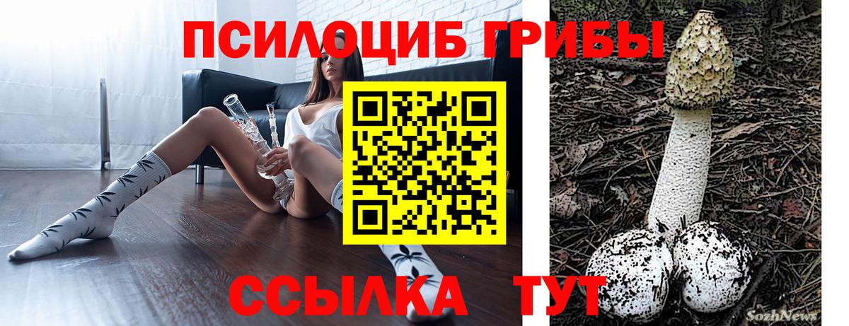 даркнет сайт  Галлюциногенные грибы Psilocybe  Вход с VPN  Курск 