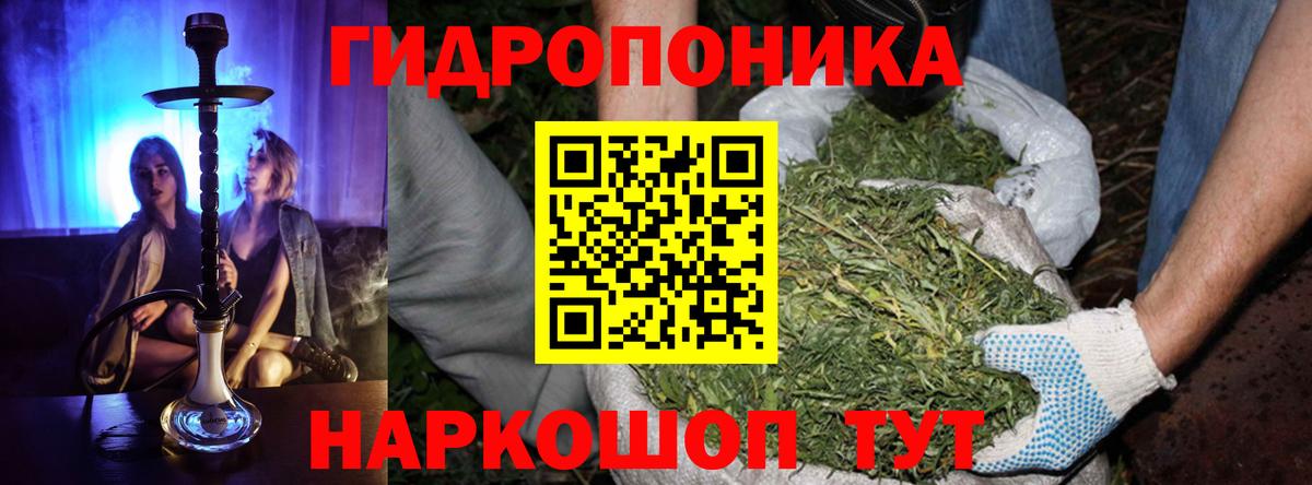 Марихуана гибрид Курск